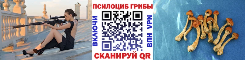 Псилоцибиновые грибы мухоморы  Чадан 