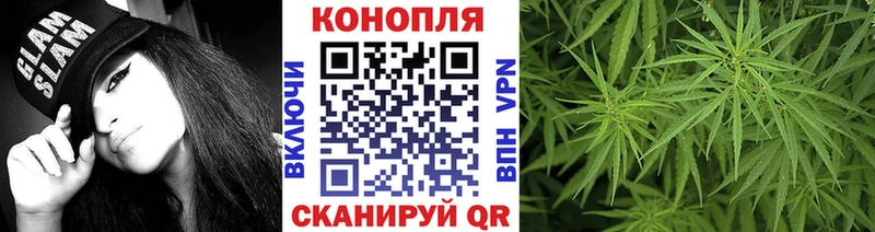 Шишки марихуана семена  Чадан 